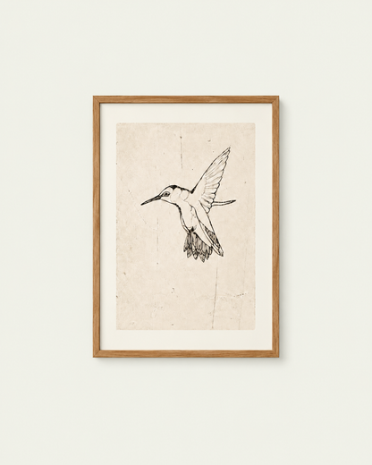 Plakat - Hummingbird