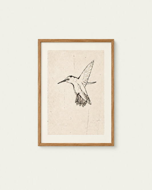 Plakat - Hummingbird